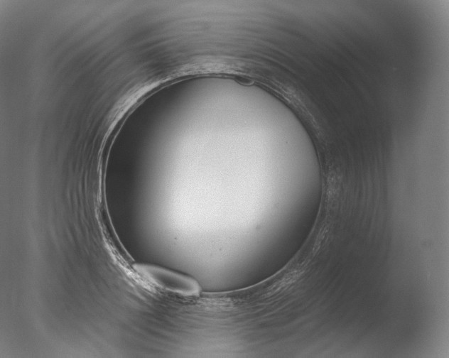 X0000076410844200610161059