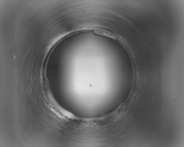 X0000076410846200610161059