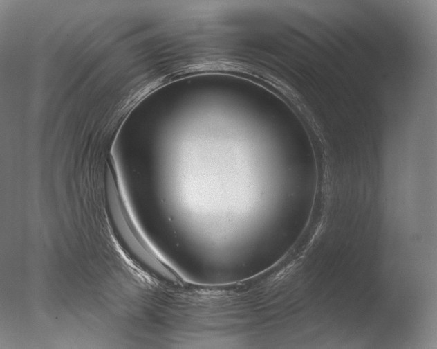X0000076410849200610161059