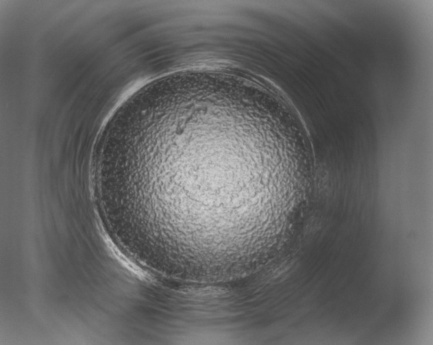 X0000076410851200610161059