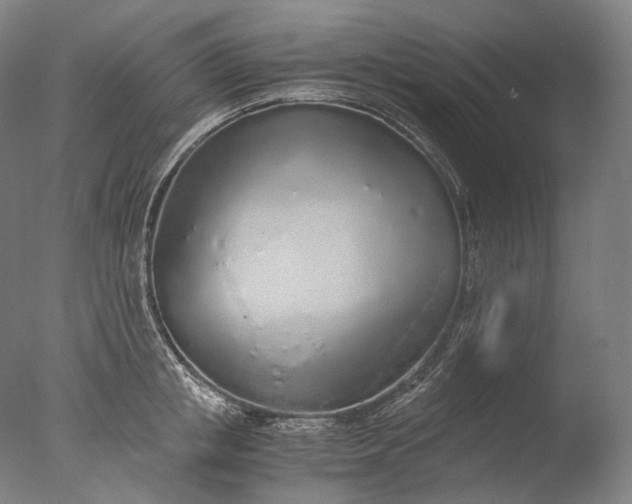 X0000076410853200610161059