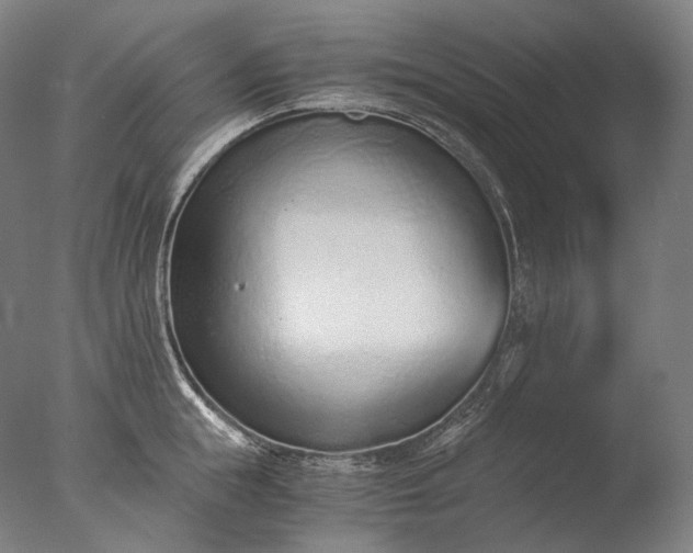 X0000076410855200610161059