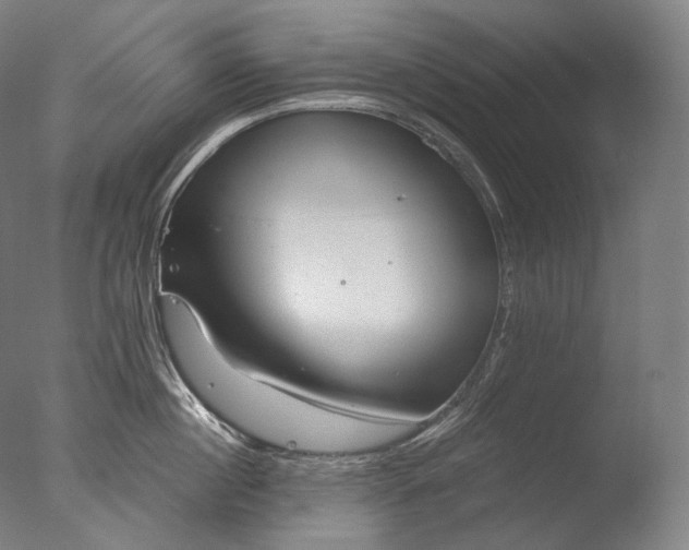 X0000076410860200610161059