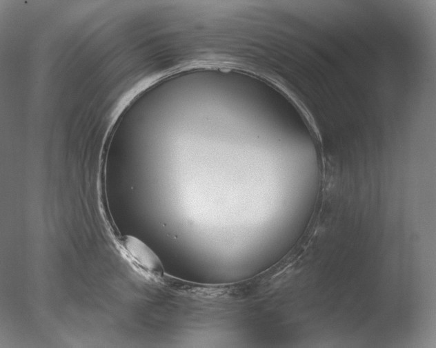 X0000076410861200610161059