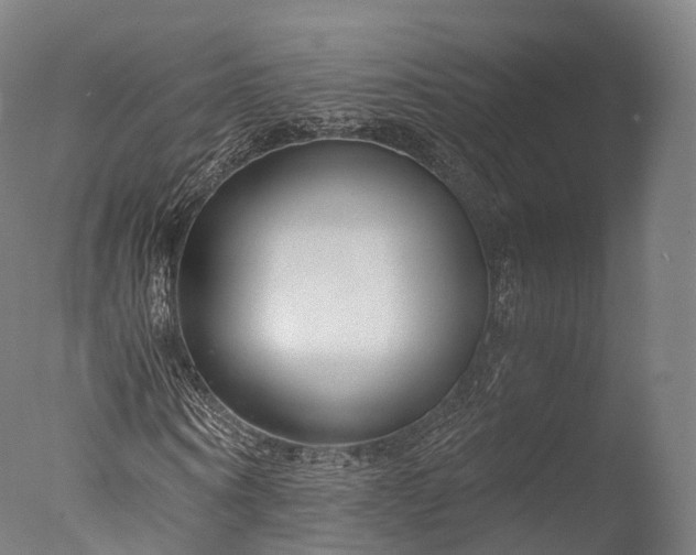 X0000076410866200610161058