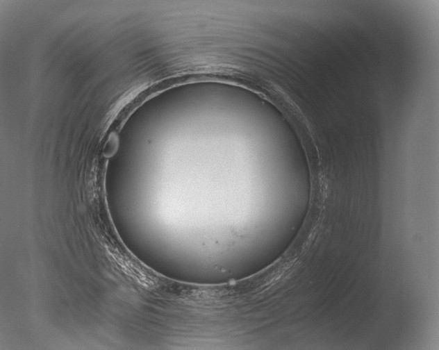 X0000076410875200610161058
