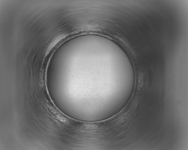 X0000076410878200610161058