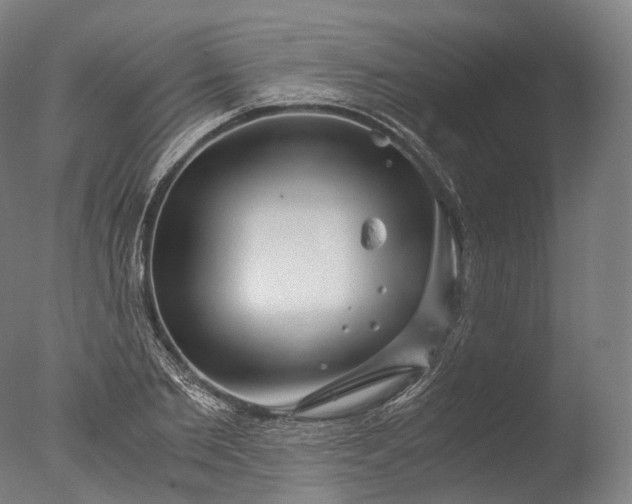 X0000076410885200610161058