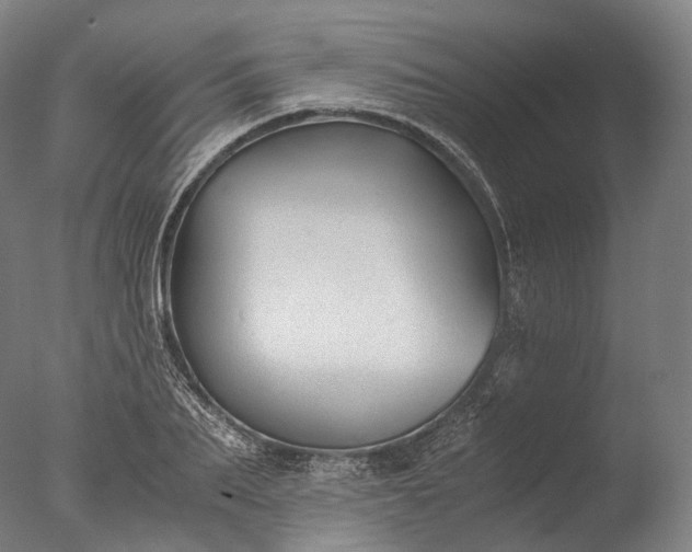 X0000076410887200610161058