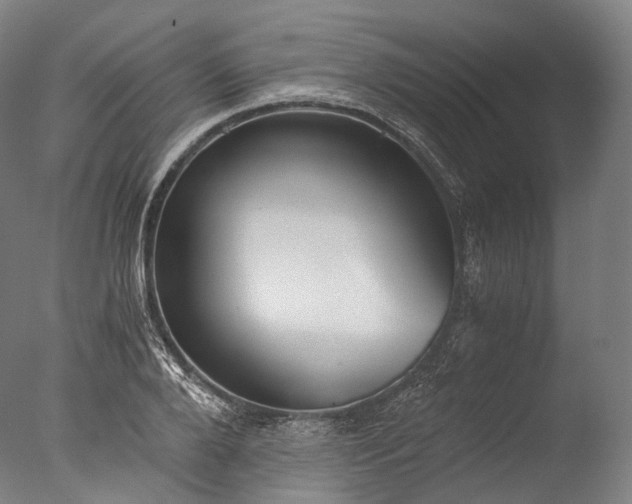 X0000076410888200610161058