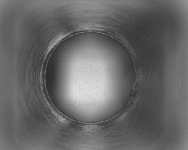 X0000076410893200610161058