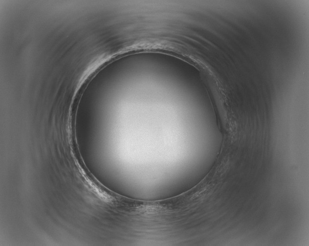 X0000076410894200610161058