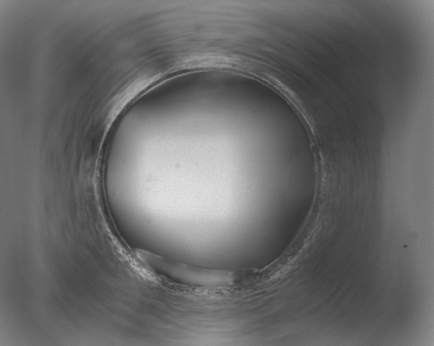 X0000076410901200610161057