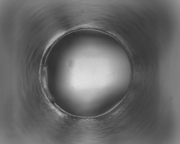 X0000076410902200610161057
