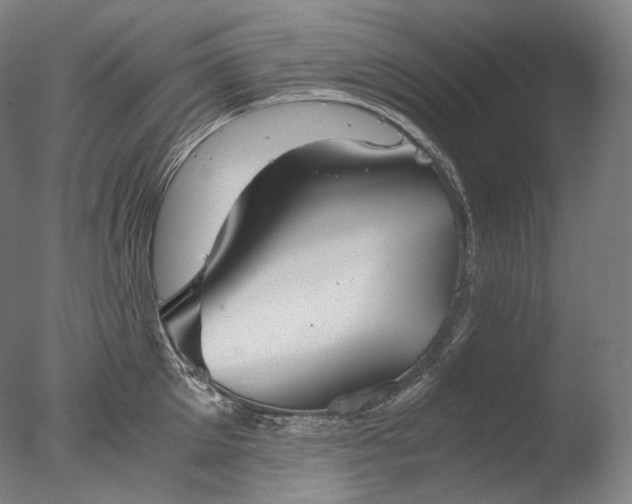 X0000076410905200610161057