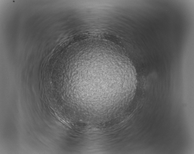 X0000076410913200610161056