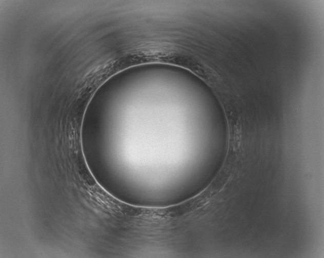 X0000076410917200610161056