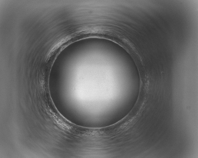 X0000076410922200610161057