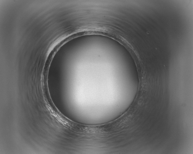 X0000076410928200610161057