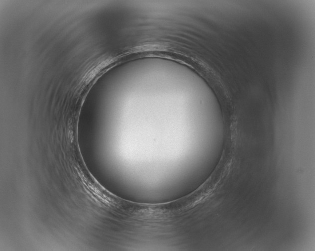 X0000076410929200610161057