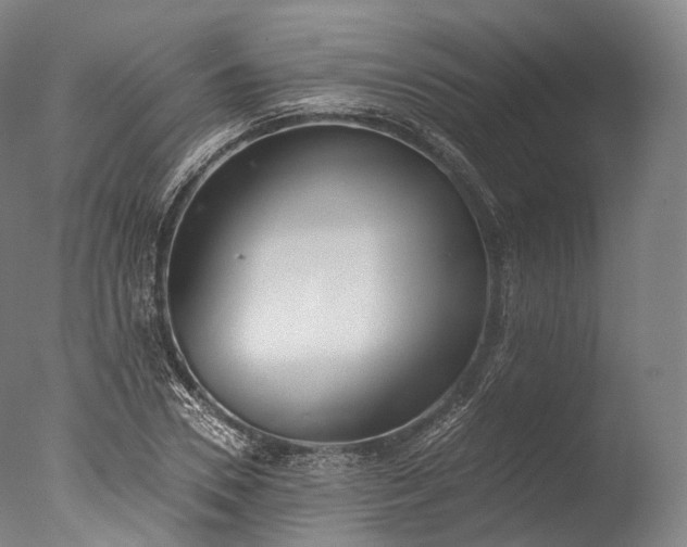 X0000076410930200610161057