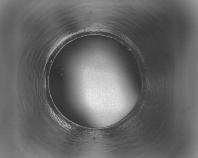 X0000076410934200610161057
