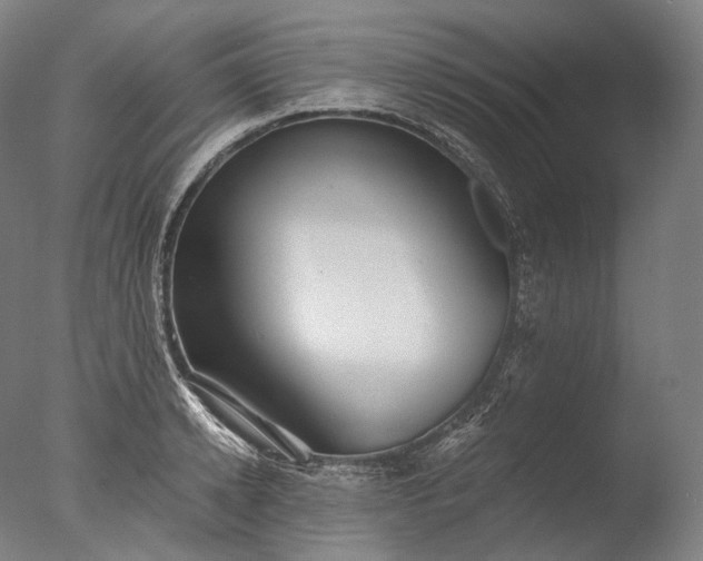 X0000076410942200610161057