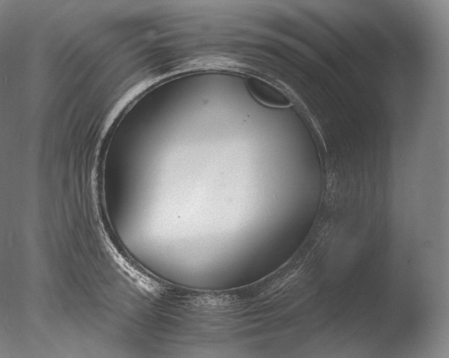 X0000076410947200610161057