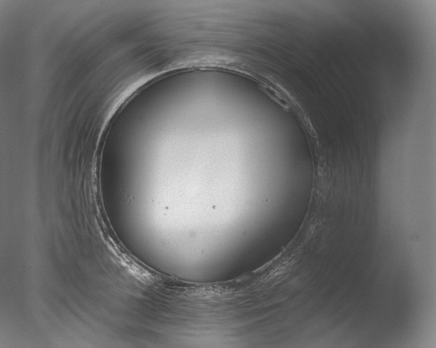 X0000076410948200610161057