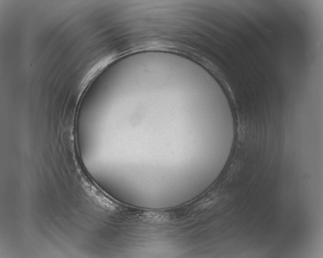 X0000076410954200610161057