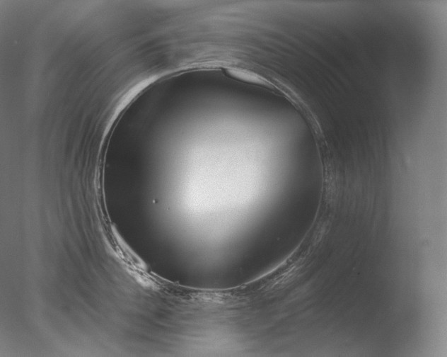 X0000076410956200610161057