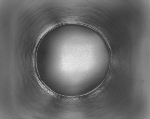 X0000076410957200610161057