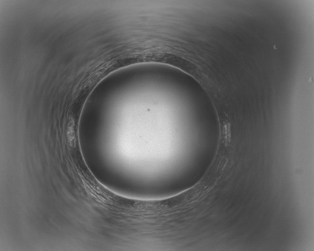 X0000076410963200610161056