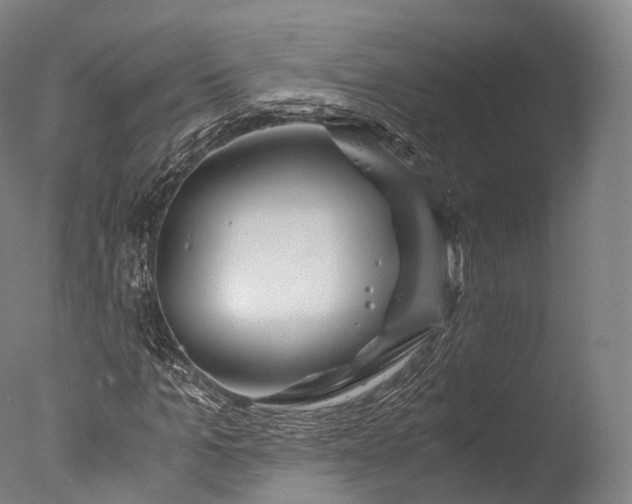 X0000076410965200610161056