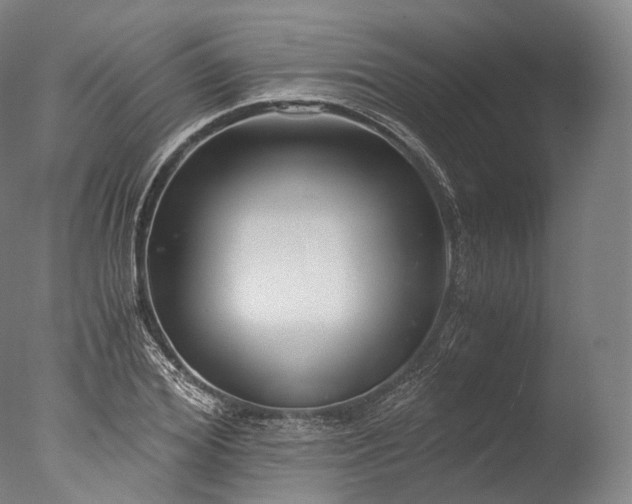 X0000076410980200610161056