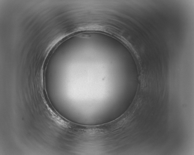 X0000076410988200610161056