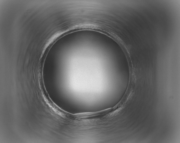 X0000076410989200610161056