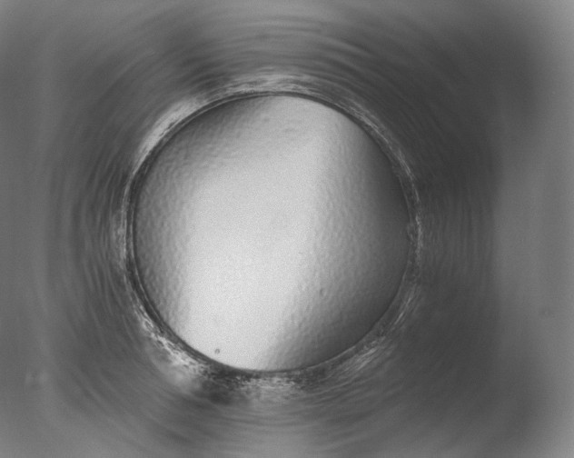 X0000076410994200610161056