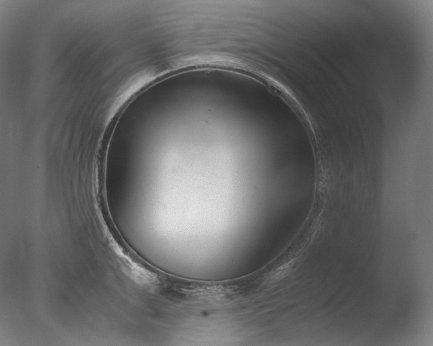 X0000076410999200610161056