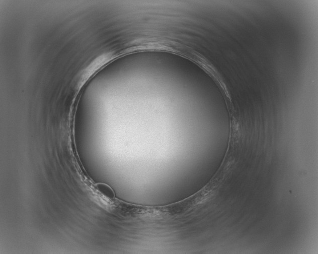 X0000076411002200610161056