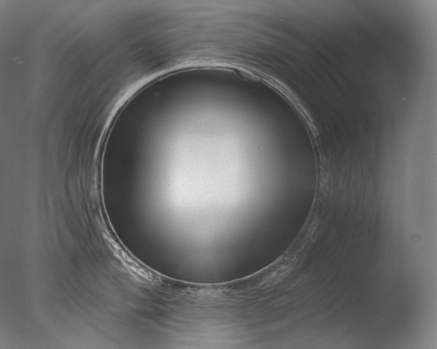 X0000076411004200610161056