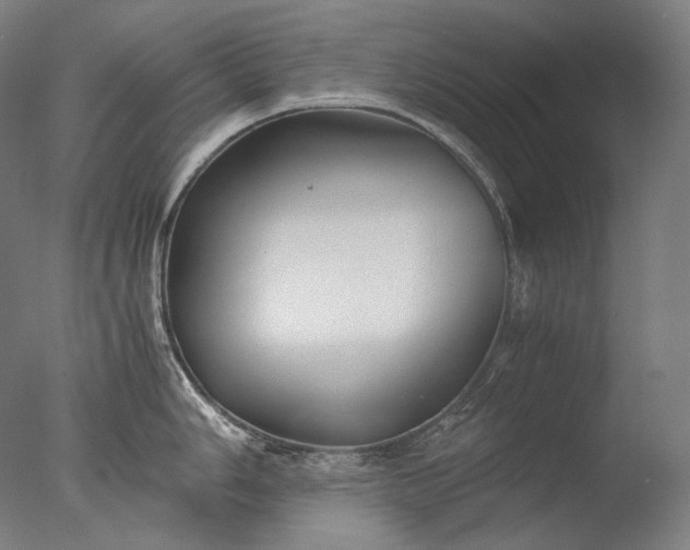 X0000076411006200610161056