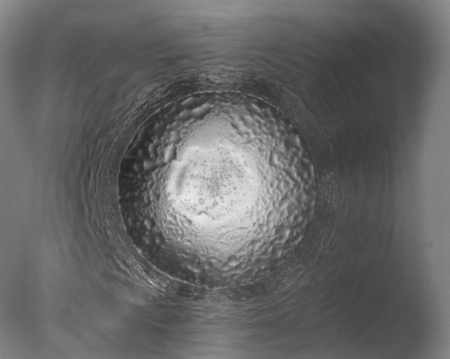 X0000076411009200610161055