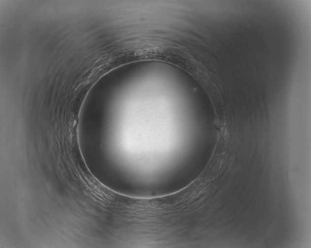 X0000076411012200610161055