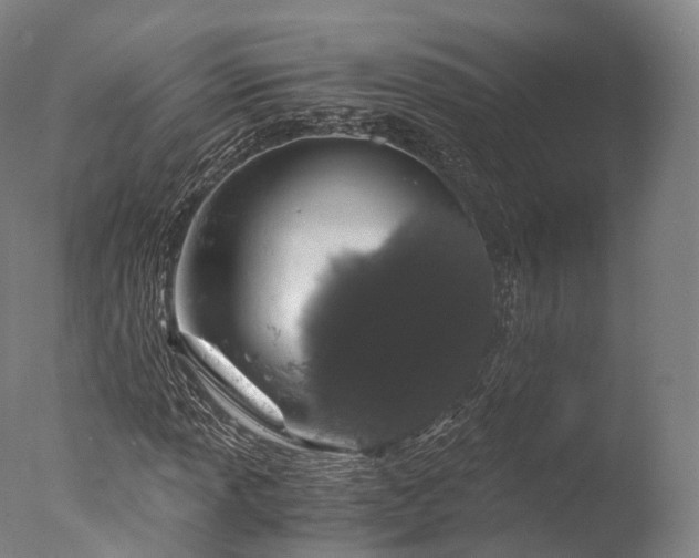 X0000076411013200610161055