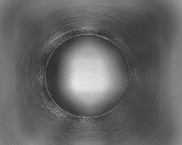 X0000076411015200610161055