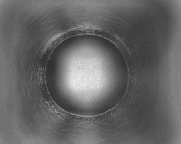 X0000076411016200610161055