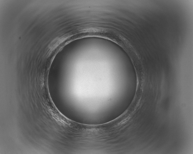 X0000076411017200610161055
