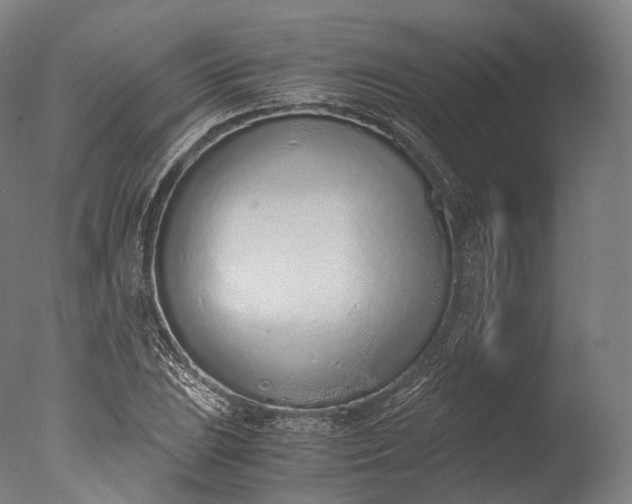 X0000076411023200610161055