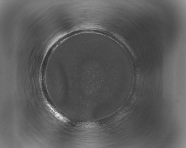X0000076411024200610161055